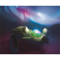 FOR YOU FIOCCO PROIETTORE AURORA BOREALE