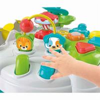 TAVOLO ATTIVITA PARCO DEGLI ANIMALI