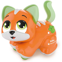 GATTINO CERCA COCCOLE