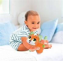 GATTINO CERCA COCCOLE