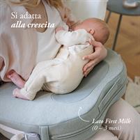 CUSCINO ALLATTAMENTO ELYSIA DELICATE PINK