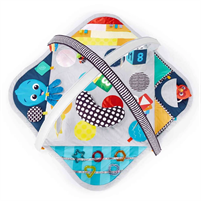 PALESTRINA BABY EINSTEIN DISCOVERY