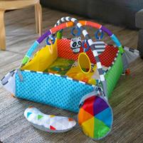 PALESTRINA BABY EINSTEIN 5 IN 1 CON BORDI E PALLINE